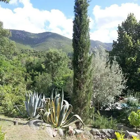 Gite Dans Le Maquis Avec Piscine Privee Peri Extérieur photo