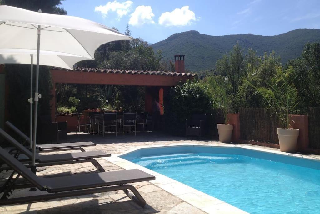 Dans Le Maquis Avec Piscine Privee * Peri
