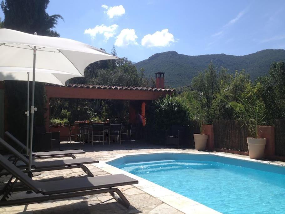 Dans Le Maquis Avec Piscine Privee Ferienhaus